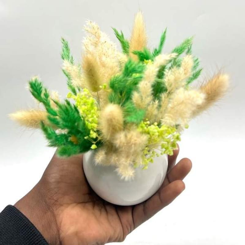 Very Mini Spring